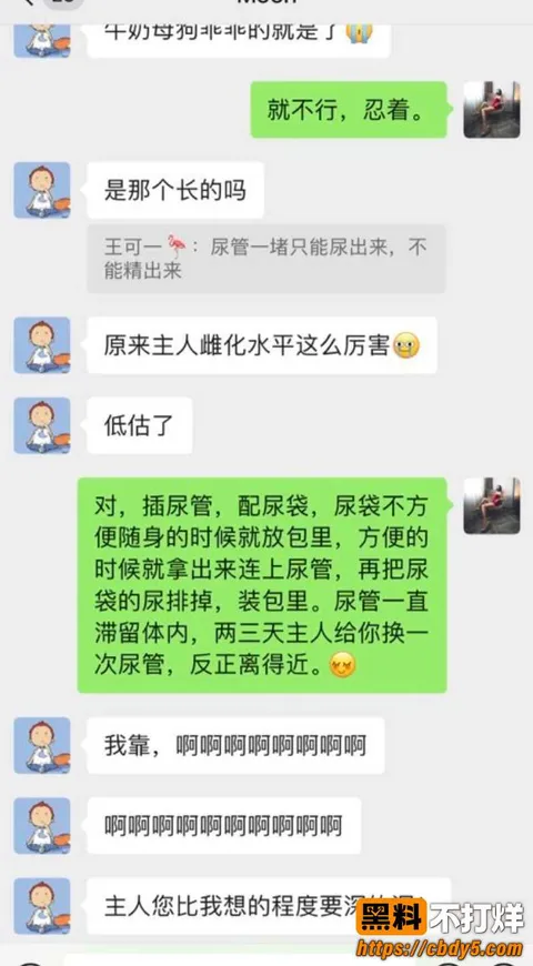 北京神罚大人 5 北京神罚大人 5