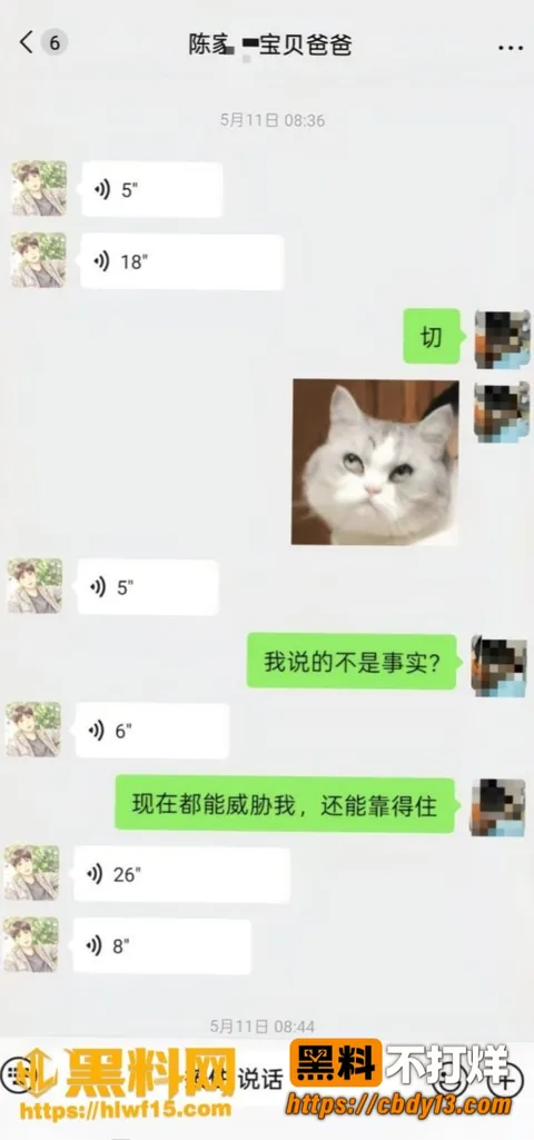陈俊雄15 陈俊雄15