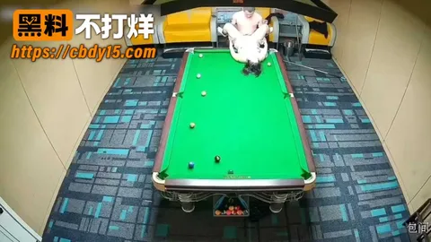 阜阳圣泰台球俱乐部事件 11 阜阳圣泰台球俱乐部事件 11